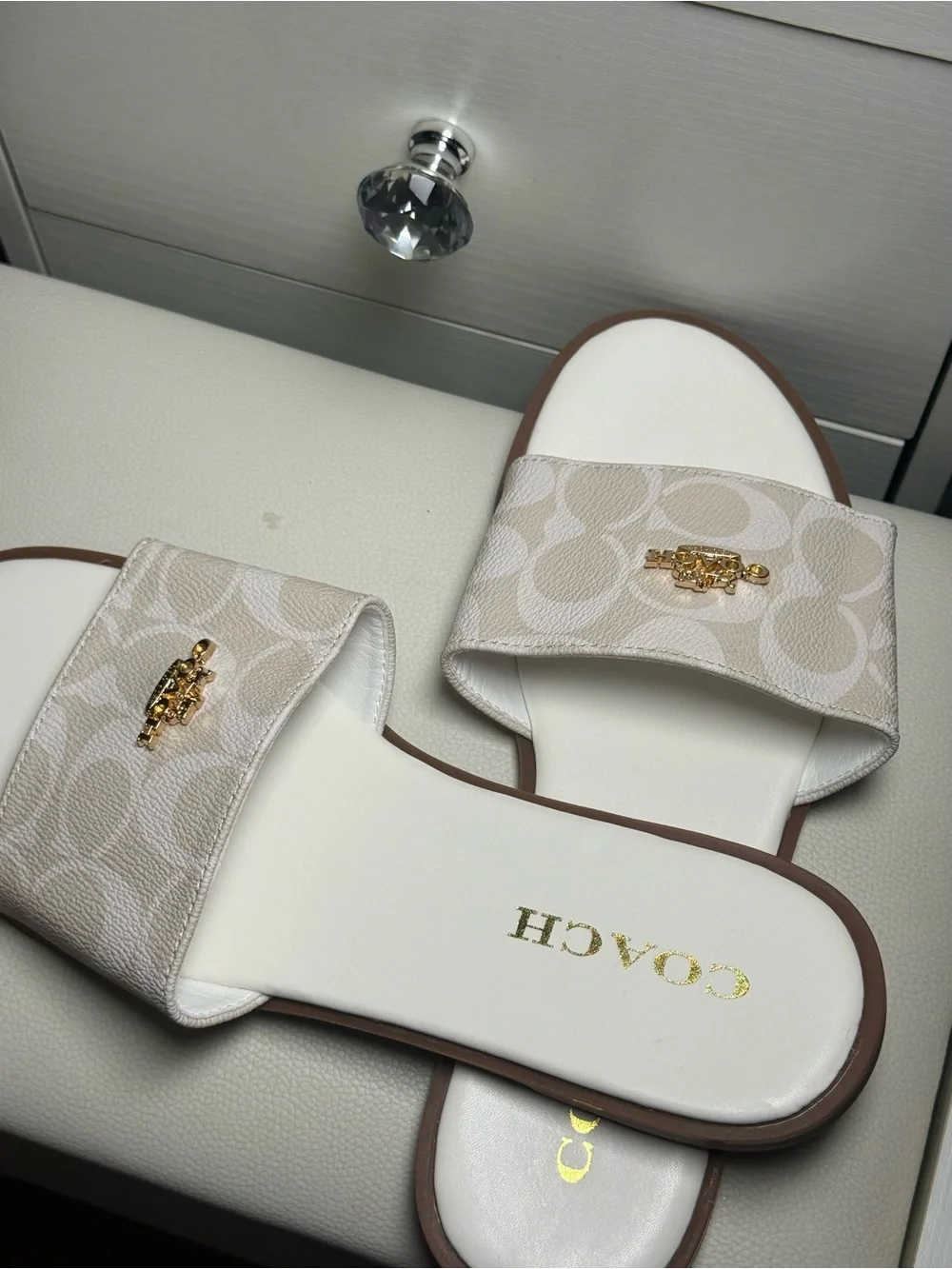 Coach stylish slide